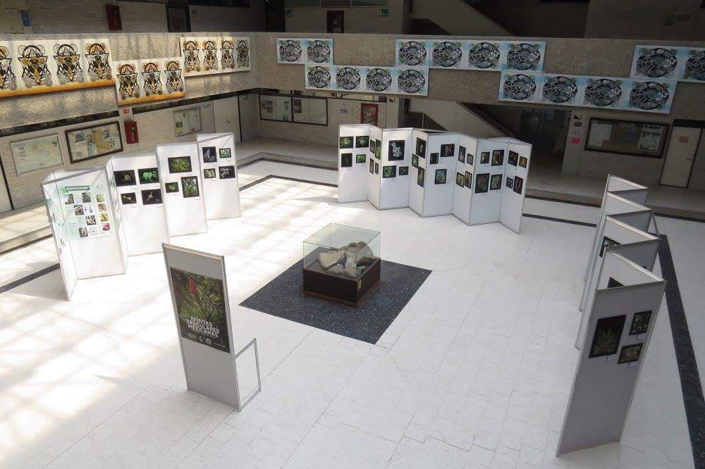 Exposiciones 8